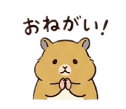 852355184