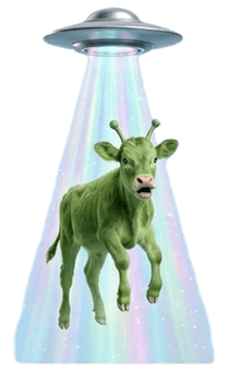 852355898