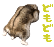 852356283