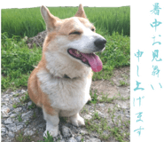 852356285