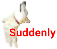 852356288