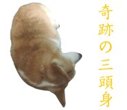 852356295