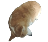 852356296