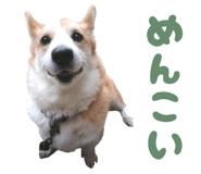 852356301