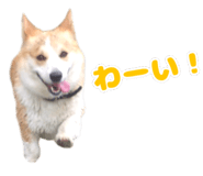 852356302