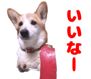 852356310