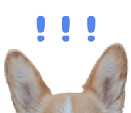 852356311