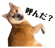 852358633