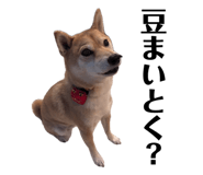 852358634