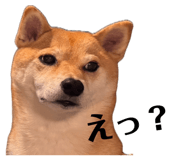 852358636