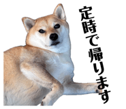 852358638