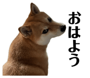852358640