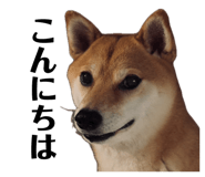 852358643