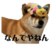 852358644