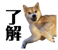 852358646