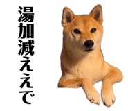 852358650