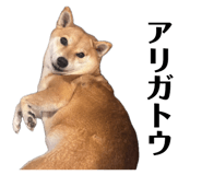 852358651