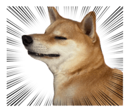 852358656