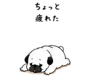 852358945