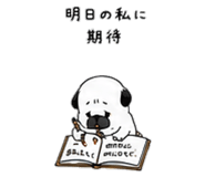 852358955