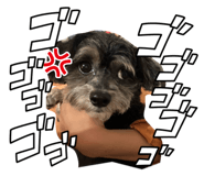 852359100