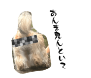 852359101