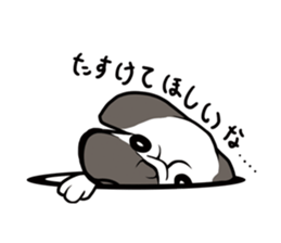 8523657