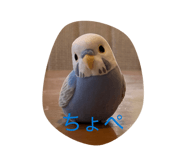 852373082