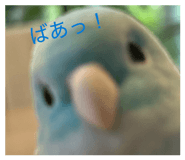 852373096