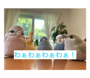 852373097