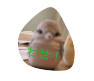 852373099