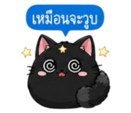 852373629