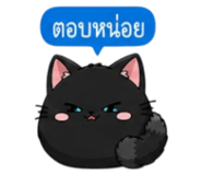 852373633
