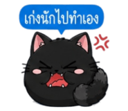 852373635