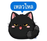 852373638