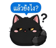 852373642