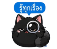 852373646