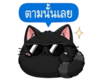 852373647