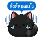 852373650