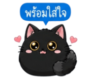 852373651