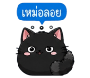 852373655