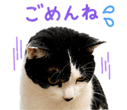 852376396