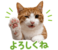 852376404