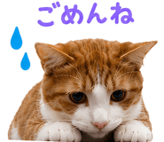 852376407