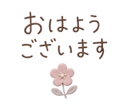 852377681