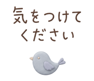 852377700