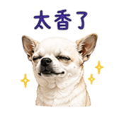 852380395