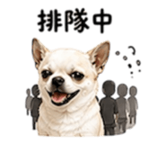 852380402