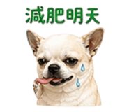 852380408
