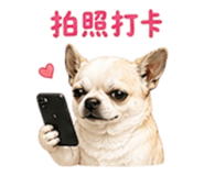 852380425